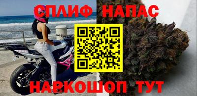 каннабис Славгород