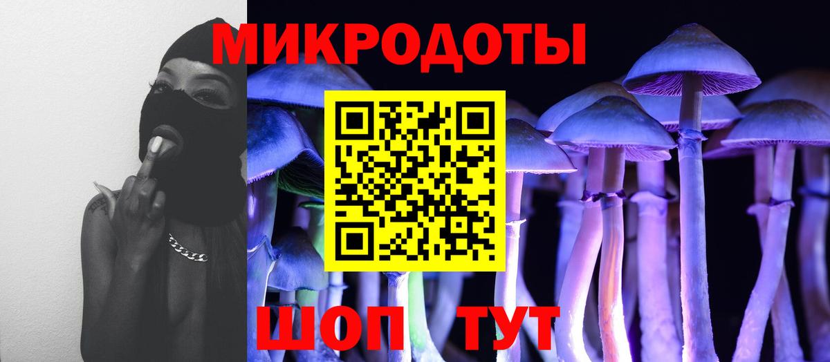 Галлюциногенные грибы Psilocybe Сатка